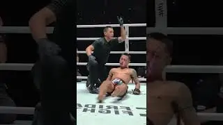 A left Hook for the KNOCKOUT Victory!👊