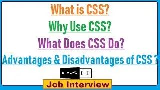 1. What is CSS? Why Use CSS? What Does CSS Do? Advantages and Disadvantages of CSS ?