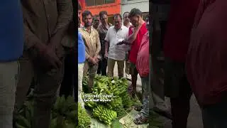 Contact no:9448061189More Reliance Banana Mysuru market banana #mysore #mysurumarket #davarajamarket