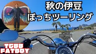 ドライブ・ツーリングにオススメな伊豆観光コース　#ハーレー #harleydavidson #fatboy #tc88 #キャブ #バイク #motorcycle #リーバイス #lvc #旅 