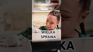Mała mysz, wielka sprawa! Dzielna pacjentka Walerka🐭❤️&zwj;🩹👩&zwj;⚕️#vet #weterynarz #mysz #exotic #pets