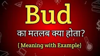 Bud Meaning in Hindi | Bud Ka Matlab kya Hota hai | English to Hindi dictionary