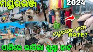 ପାଣିରେ ଭାସିଲା ଖୁଣ୍ଟା ହାଟ😲 Mayurbhanj ର ଏକ ଦେଶୀ ହାଟ Khunta Hato ||ମୟୁରଭଞ୍ଜ ଖାସୀ ମିଳୁଛି || Odiavlog