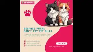 Because Love Isn&rsquo;t Enough When Vet Bills Strike!