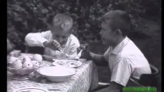Яблоко от яблони 768x576