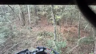 Stephen&rsquo;s deer. Whitetail taken 11/10/25 with a Barnett XP370 crossbow. 