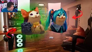 🔴(  GATO DEL RUBIUS PARA STREAM )🔴