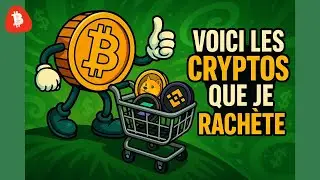 HERE ARE THE CRYPTOS I'M BUYING BACK AFTER THE FALL! BITCOIN, ETHEREUM, SOL, DOGE, LINK & BORG AN...