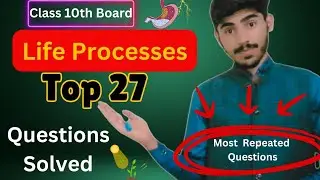 Life Processes Class 10 Science Biology ( 27 Most Important Questions)