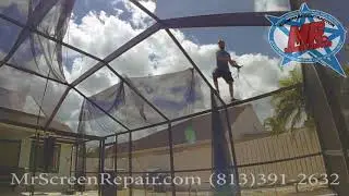 Rescreen and Screw Replacement with Mr Screen Repair