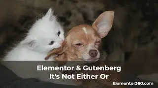 Elementor and Gutenberg - It's Not Either Or