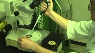Thawing of vitrified mice embryos