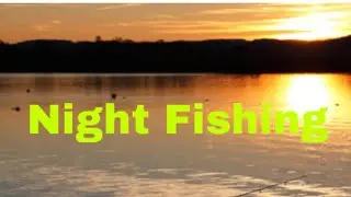 How To Catch Fish At Night…