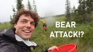 A Peaceful Berry Trip&hellip; Until It Suddenly Turned Dangerous &mdash; LAPLAND WILDERNESS EXPERIENCE