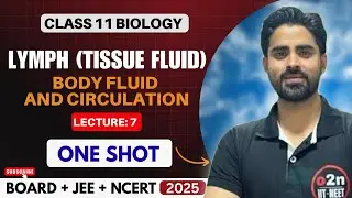LEC 7 LYMPH (Tissue Fluid) | Body Fluids & Circulation Class 11 | NEET Biology