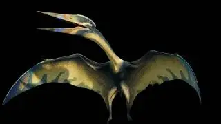 Thanatosdrakon Amaru (JW) Sound Effects