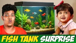 Buying Fish Tank for Ifa ❤️ - Irfan's View