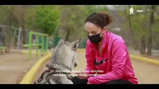Parques de la Secretar&iacute;a de Administraci&oacute;n ahora son pet friendly