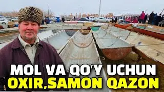 БУХОРО КОРАКУЛ ОХИР НАРХЛАР МОЛ ВА КУЙ УЧУН 