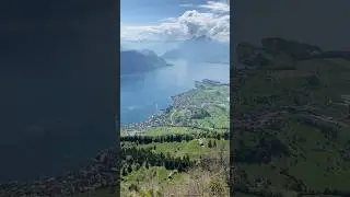 Alpine ecosystem #swissmountains #vierwaldst&auml;ttersee #alpineflora