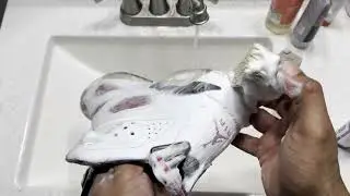 Making Jordan 6 Retro Carmine Look Brand New with Jason Markk Cleaner