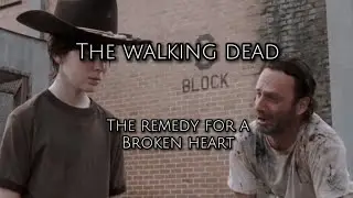 The Walking Dead l sad edit l remedy for a broken heart