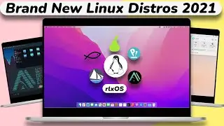 6 самых свежих дистрибутивов Linux 2021 года