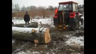 ursus c360 akcja drzewo ZPY