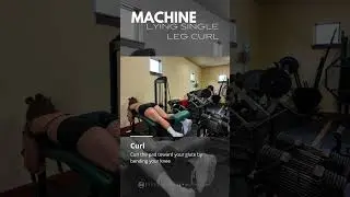 Machine Lying Single Leg Curl &ndash; How to Perform It Correctly | Trevor Kashey Nutrition