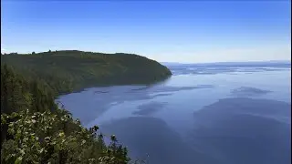 Alvastra  R&ouml;k  Omberg
