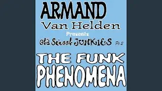 The Funk Phenomena (Da Hool Remix)