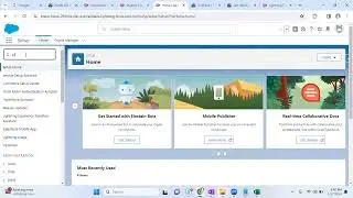 List View | Picklist | Global Picklist | Data Import Wizard | Salesforce CRM