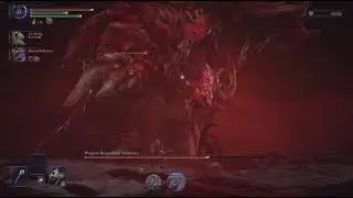EVERDARK BALANCERS BOSS FIGHT | Elden Ring Nightreign