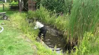 🌿 Pflanzen- & Schlamm raus – der Teich atmet auf! // Plant & Sludge Removal – Pond Revival!