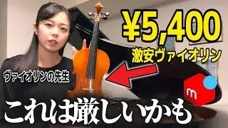 【※個人の感想です】メルカリで激安バイオリンを買ったら、厳しい結果に