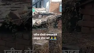 cuckoo Mel bird video/कोयल नर पक्षी वीडियो