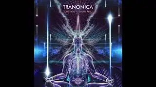 Elegy & Pulsar - Metaphor (Tranonica Remix) | ▲ |  (Sun Department Records)