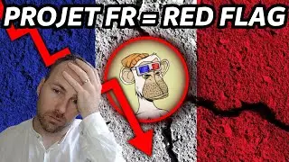 PROJET CRYPTO NFT FRAN&Ccedil;AIS = RED FLAG ? - ACTU