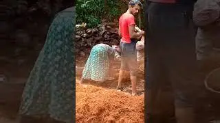 Coconut 🥥 Husk Shredder