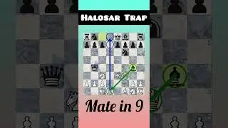 HaloSar trap: Blackmer Diemer Gambit #Shorts