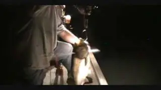 bowfishing with jon and gina brunson perrytwinsoutdoors, backwoods bloodline