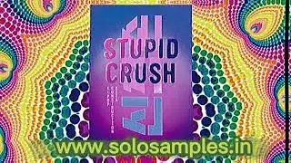 Stupid Crush: K-Pop Construction Kits !!!