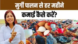 Poultry Farming: कम पैसे में महीने में लाखों कमाने वाला Business ऐसे करें। Desi Egg। Desi Murgi Farm
