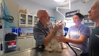 Cedar Bend Humane Society Examination