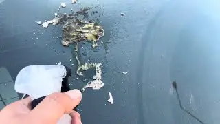 Araba camına bulaşan beton nasıl sökülür?