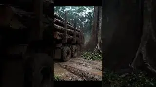 The Struggle is Real: Muddy Logging Road