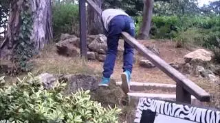 A Day Out at the Welsh Mountain Zoo