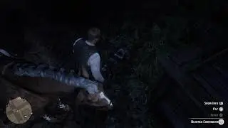 Red Dead Redemption 2_20260201224454