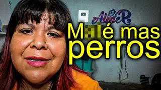 Los NUEVOS CRIMENES que AIMEP3 no QUIERE que VEAS