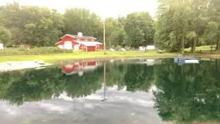August 2022 Pond update, Beach Build and Understanding Pond Bacteria